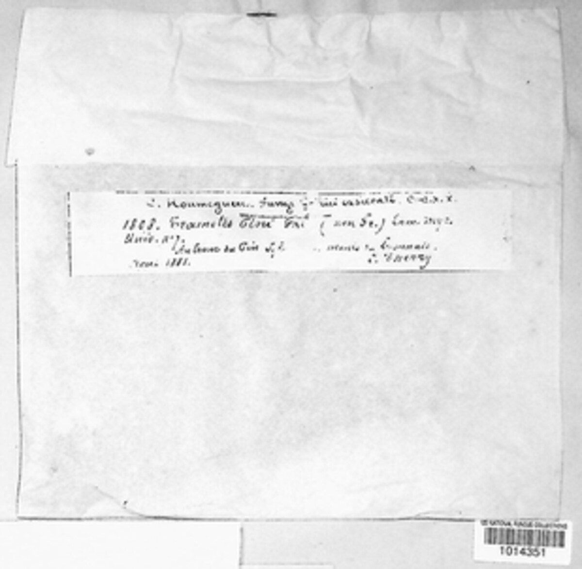 Porodaedalea image